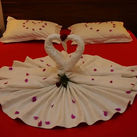 Alba Royal (adults Only) 5* سيدي